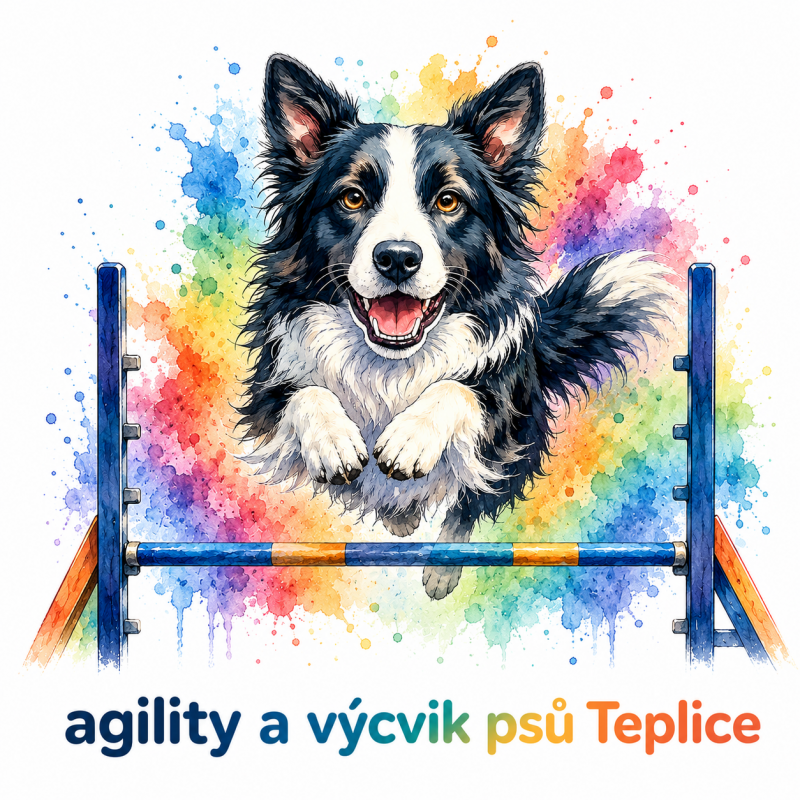 logo agility